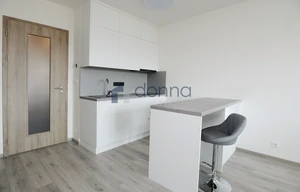 Apartment for rent, 1+KK - Studio, 39m<sup>2</sup>