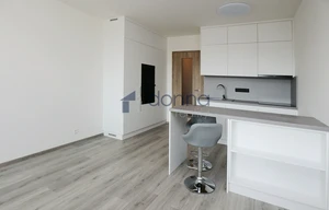 Apartment for rent, 1+KK - Studio, 39m<sup>2</sup>