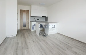 Apartment for rent, 1+KK - Studio, 39m<sup>2</sup>