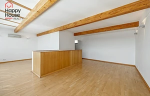 Apartment for rent, 3+kk - 2 bedrooms, 120m<sup>2</sup>