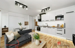 Apartment for rent, 1+KK - Studio, 31m<sup>2</sup>