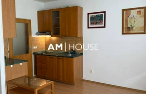 Apartment for rent, 1+KK - Studio, 29m<sup>2</sup>