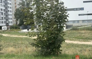 Commercial plot for rent, 1698m<sup>2</sup>