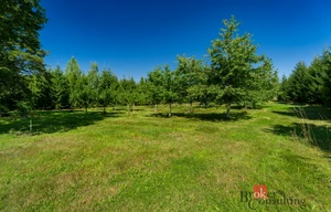 Building plot for sale, 12049m<sup>2</sup>