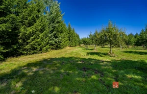 Building plot for sale, 12049m<sup>2</sup>
