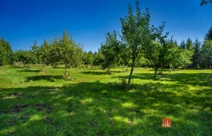 Building plot for sale, 12049m<sup>2</sup>