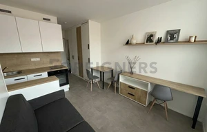 Apartment for rent, 1+KK - Studio, 20m<sup>2</sup>