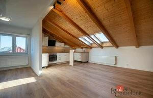 Apartment for rent, 3+kk - 2 bedrooms, 105m<sup>2</sup>
