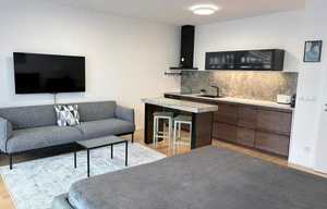 Apartment for rent, 1+KK - Studio, 45m<sup>2</sup>