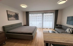 Apartment for rent, 1+KK - Studio, 45m<sup>2</sup>