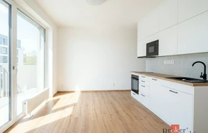 Apartment for rent, 1+KK - Studio, 36m<sup>2</sup>