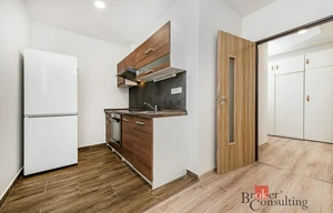 Apartment for rent, 2+kk - 1 bedroom, 47m<sup>2</sup>