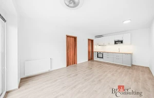 Apartment for rent, 2+kk - 1 bedroom, 56m<sup>2</sup>