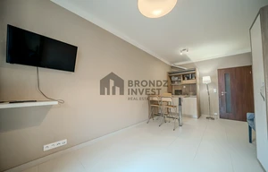 Apartment for rent, 1+KK - Studio, 30m<sup>2</sup>