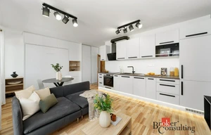 Apartment for rent, 1+KK - Studio, 31m<sup>2</sup>