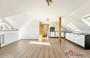 Apartment for rent, 3+kk - 2 bedrooms, 110m<sup>2</sup>