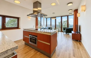 Apartment for rent, 2+kk - 1 bedroom, 60m<sup>2</sup>