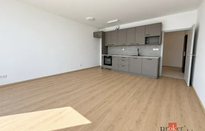 Apartment for rent, 2+kk - 1 bedroom, 52m<sup>2</sup>