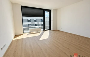 Apartment for rent, 2+kk - 1 bedroom, 52m<sup>2</sup>