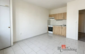 Apartment for rent, 1+1 - Studio, 48m<sup>2</sup>