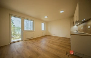 Apartment for rent, 1+KK - Studio, 38m<sup>2</sup>