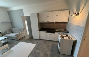 Apartment for rent, 2+kk - 1 bedroom, 55m<sup>2</sup>