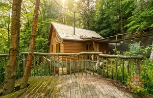Cottage for sale, 54m<sup>2</sup>, 99m<sup>2</sup> of land