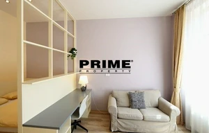 Apartment for rent, 1+1 - Studio, 40m<sup>2</sup>