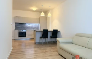 Apartment for rent, 2+kk - 1 bedroom, 56m<sup>2</sup>