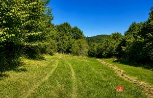 Meadow for sale, 3075m<sup>2</sup>