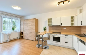 Apartment for rent, 1+KK - Studio, 35m<sup>2</sup>