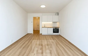 Apartment for rent, 1+KK - Studio, 35m<sup>2</sup>