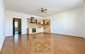 Apartment for rent, 1+KK - Studio, 39m<sup>2</sup>