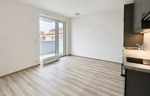 Apartment for rent, 1+KK - Studio, 33m<sup>2</sup>
