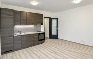 Apartment for rent, 1+KK - Studio, 33m<sup>2</sup>