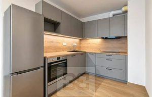 Apartment for rent, 2+kk - 1 bedroom, 55m<sup>2</sup>