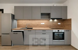 Apartment for rent, 2+kk - 1 bedroom, 55m<sup>2</sup>
