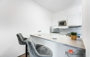 Apartment for rent, 1+KK - Studio, 30m<sup>2</sup>