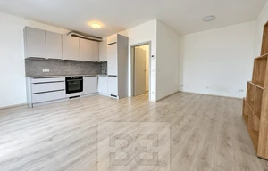 Apartment for rent, 1+KK - Studio, 44m<sup>2</sup>
