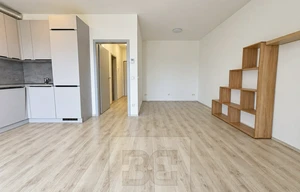 Apartment for rent, 1+KK - Studio, 44m<sup>2</sup>