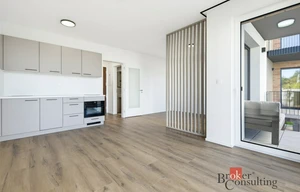 Apartment for rent, 1+KK - Studio, 35m<sup>2</sup>