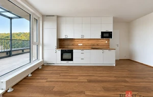 Apartment for sale, 2+kk - 1 bedroom, 49m<sup>2</sup>