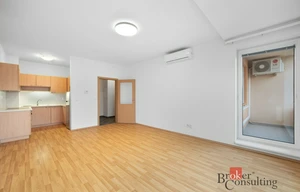 Apartment for rent, 2+kk - 1 bedroom, 51m<sup>2</sup>