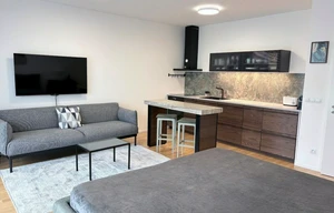 Apartment for rent, 1+KK - Studio, 45m<sup>2</sup>