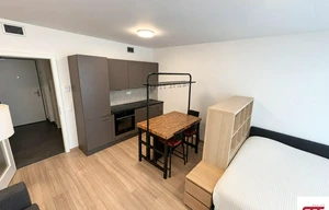 Apartment for rent, 1+KK - Studio, 36m<sup>2</sup>