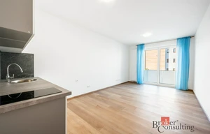 Apartment for rent, 1+KK - Studio, 31m<sup>2</sup>