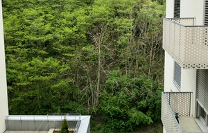 Apartment for rent, 2+kk - 1 bedroom, 61m<sup>2</sup>
