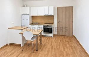 Apartment for rent, 1+KK - Studio, 29m<sup>2</sup>