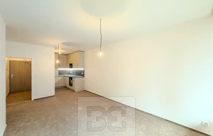 Apartment for rent, 2+kk - 1 bedroom, 55m<sup>2</sup>