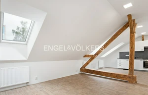 Apartment for rent, 1+KK - Studio, 49m<sup>2</sup>